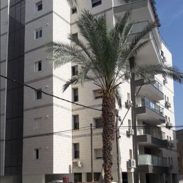 ‏‏לכידה