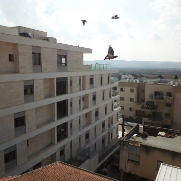 DCIM100MEDIADJI_0431.JPG