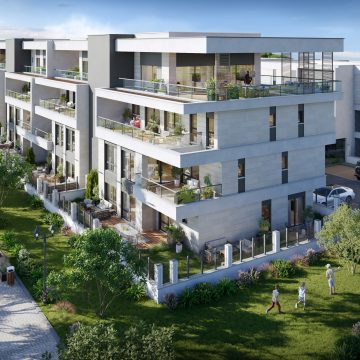 View6 לא שתילה